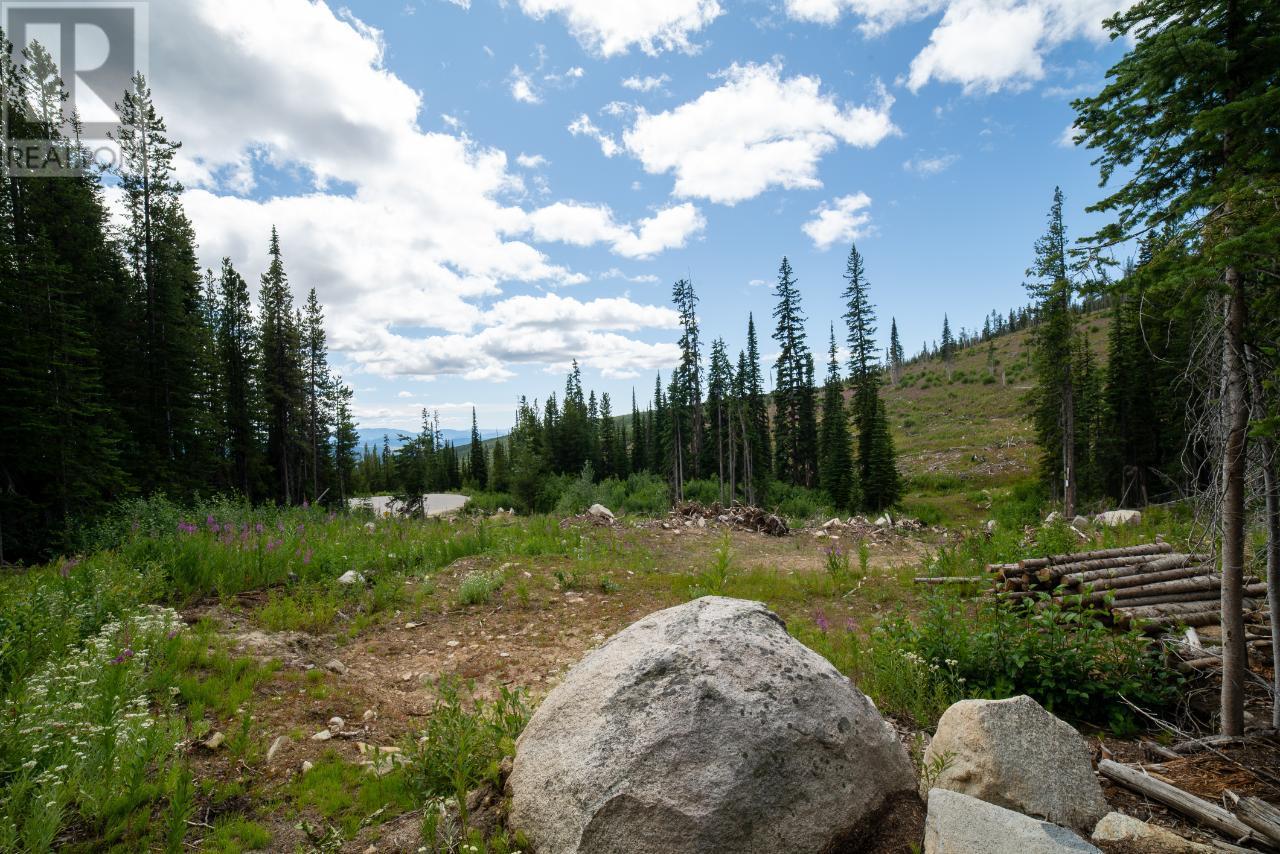 369 Buck Road, Mount Baldy, British Columbia V0H1B0 For Sale HouseSigma