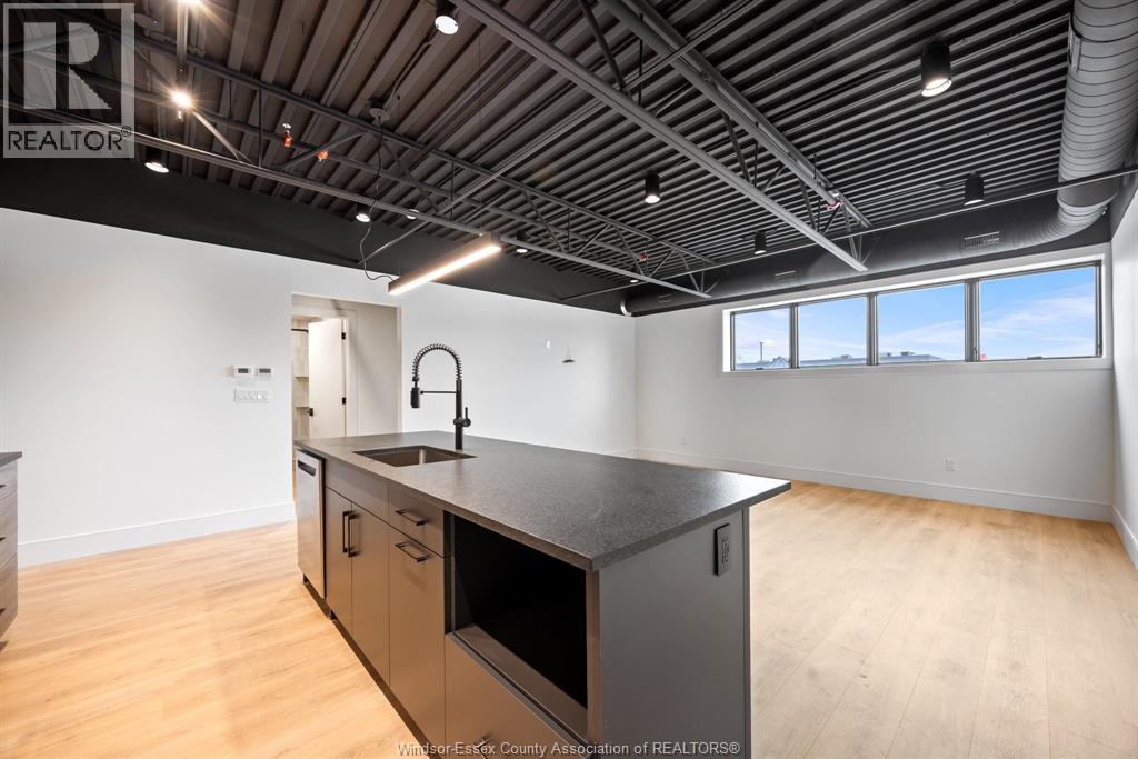 Unit 207 - 3850 DOUGALL, Windsor 3