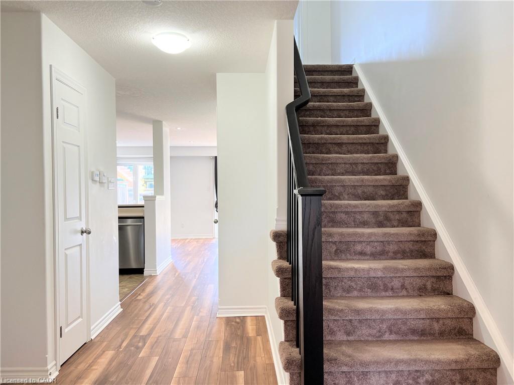 46 Renfrew Street, Kitchener 4
