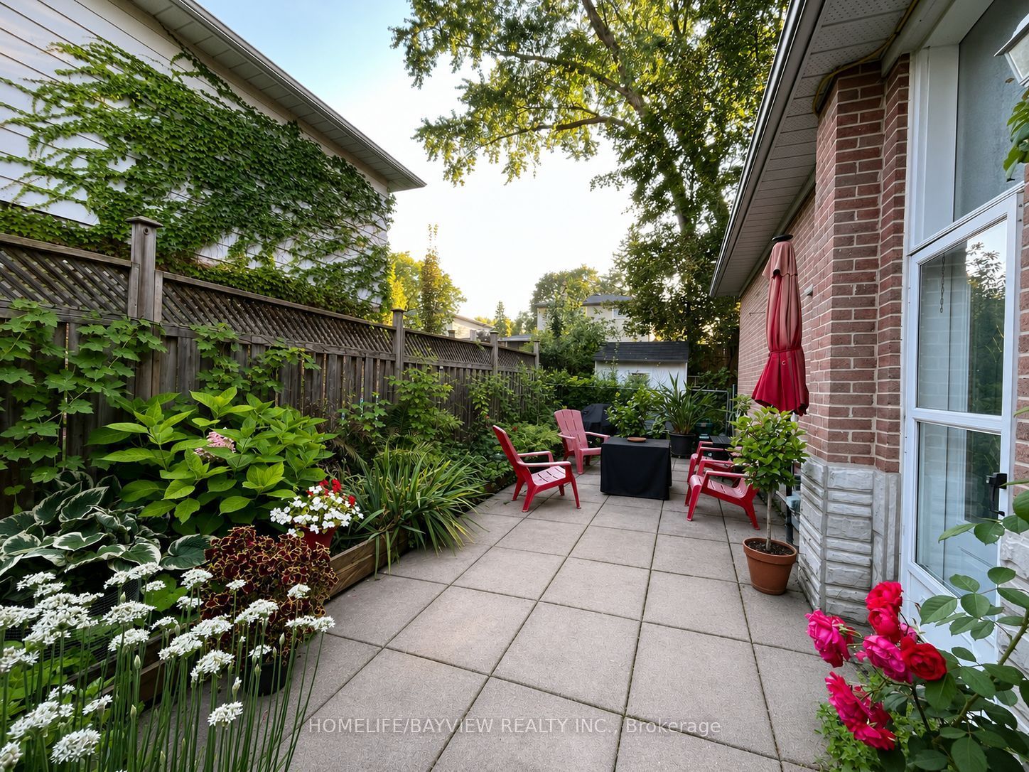 Unit Lower Level - 338 Lorne Avenue, Newmarket 2