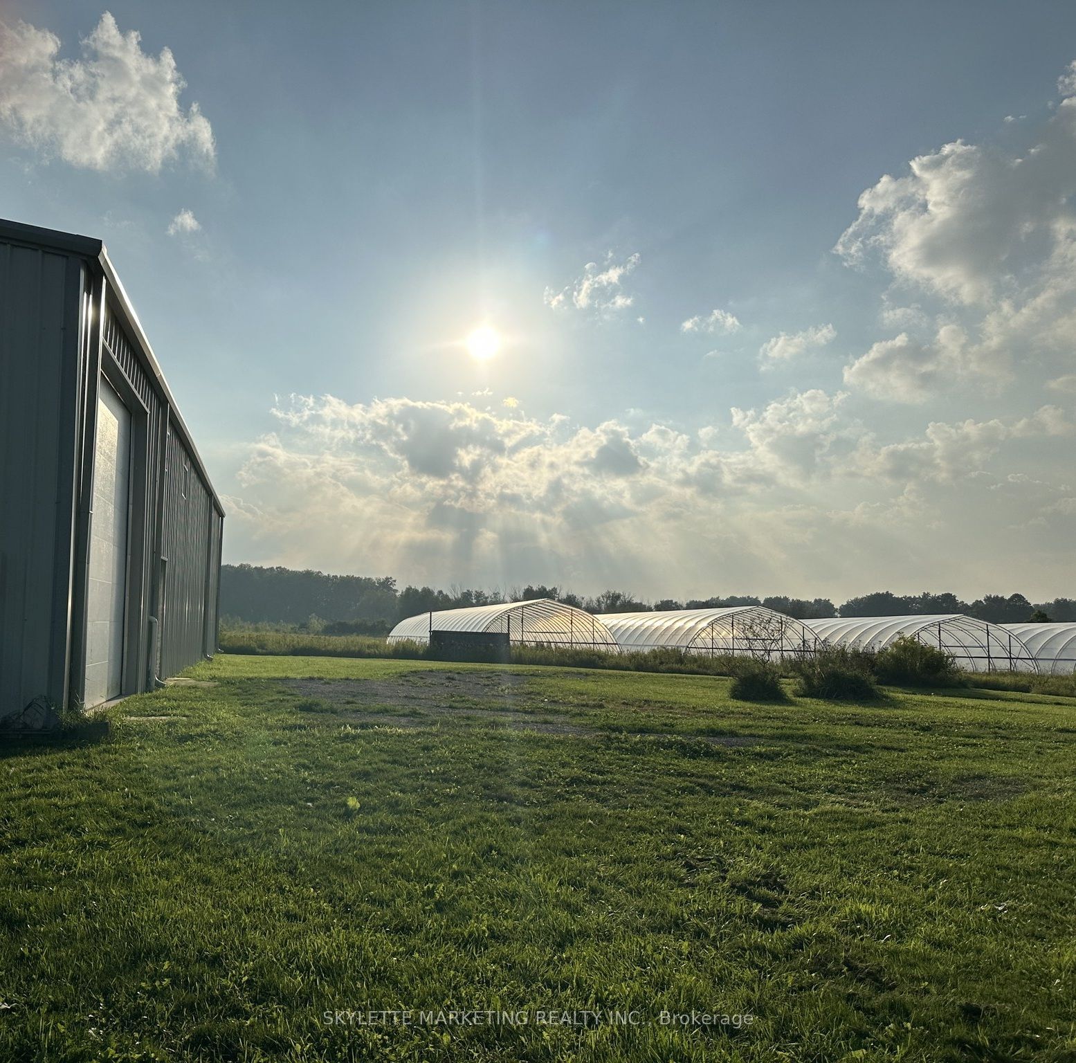 22334 Woodbine Avenue, East Gwillimbury 3