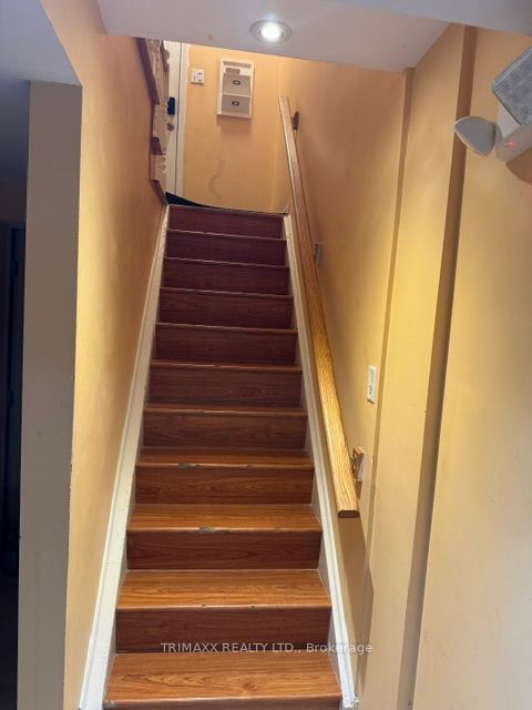 2 Paper Birch Road, Brampton 3