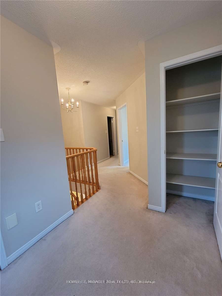8 Galtee Road, Brampton 4